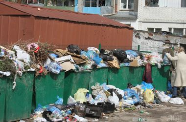 Страшные последствия мусорного коллапса во Львове: новой свалки нет, а жителям грозят вши и холера