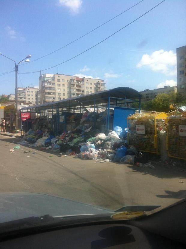 Как спальные районы Львова тонут в мусоре (ФОТО)
