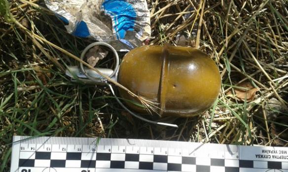 В Донецкой обл. мужчина в куче мусора обнаружил три боевые гранаты