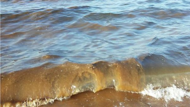 Азовское море покрылось неизвестными желтыми пятнами (ФОТО)
