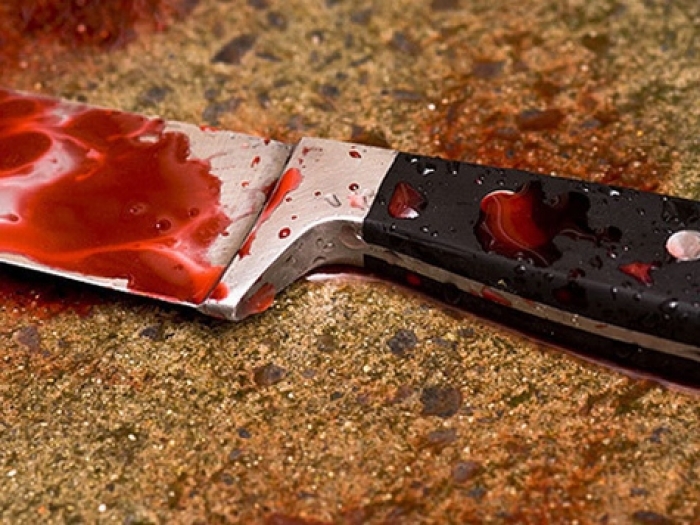 Стали известны жуткие подробности бездушного убийства: на теле матери дочь оставила 50 ножевых ранений