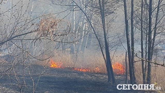УЖАС! Масштабный пожар захватила Киев (ФОТО)