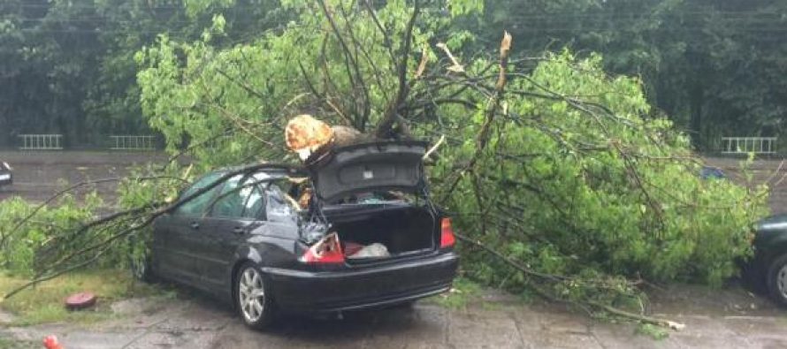 Шокирующие последствия непогоды во Львове: повалены деревья, оборваны провода! Вы потеряете дар речи! (ФОТО)