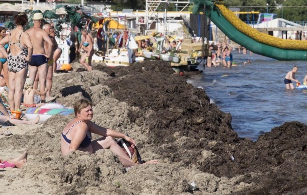 Загорают возле «куч навоза». Сеть шокировало фото отдыхающих на крымском пляже