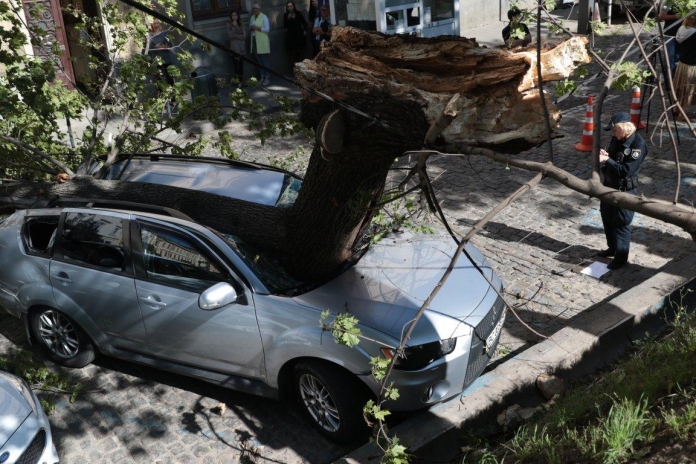 «Дерево пробило салон насквозь и …»: Авто известной львовской депутатки превратилось в груду металлолома