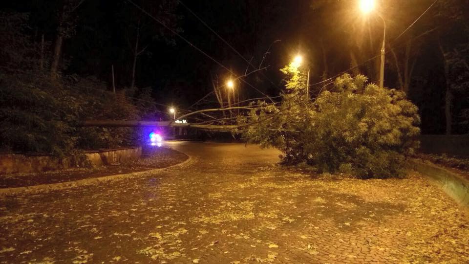 «Поваленные деревья, порваны электропровода»: Ураган во Львове натворил настоящего бедствия. Последствия (ФОТО)