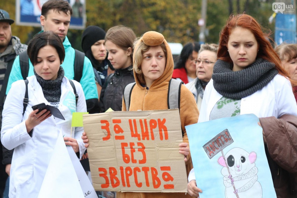 «Мы скажем за тех, кто не может сказать!»: В Запорожье состоялся Всеукраинский марш (ФОТО)