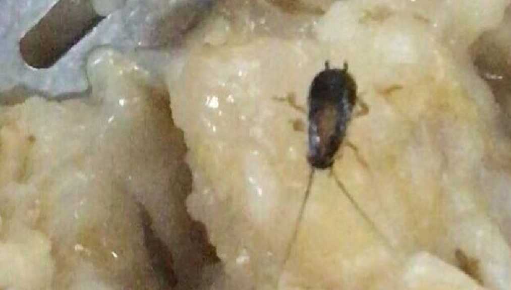 «Жалоб на еду не поступало…»: НУПС отреагировали на найденных червей и тараканов