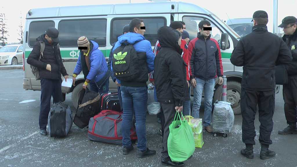 «Более 120 человек …»: В Польше массово депортируют украинцев