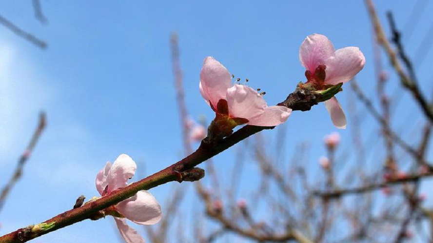 Капризная весна: Синоптики рассказали, какой погоды ожидать завтра