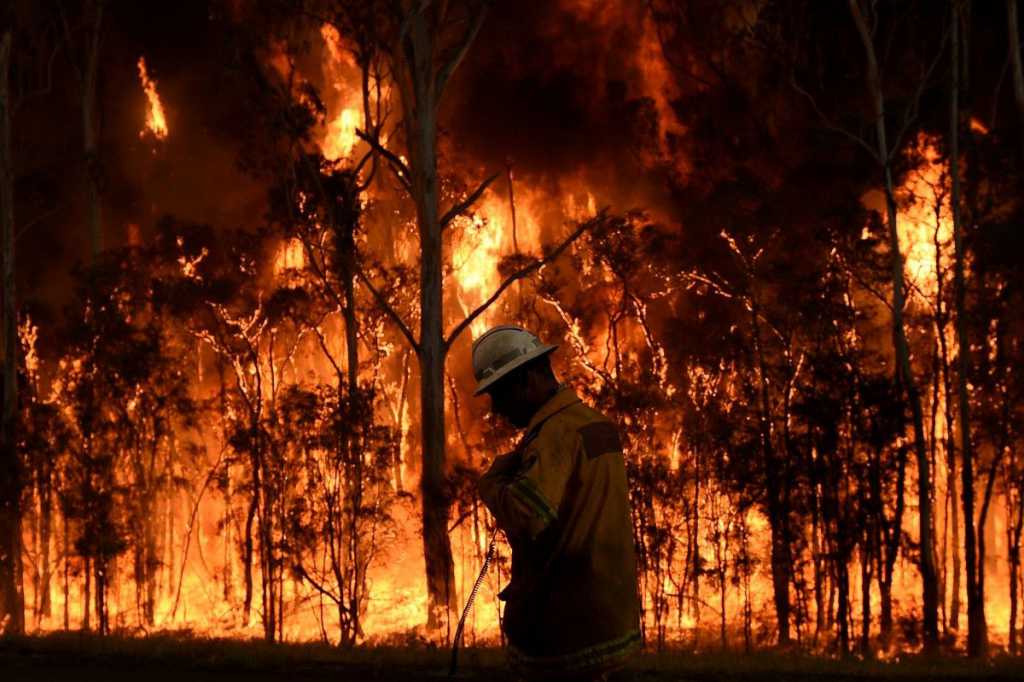 Сотни уничтоженных домов и две человеческих жизни: лесные пожары набирают силу