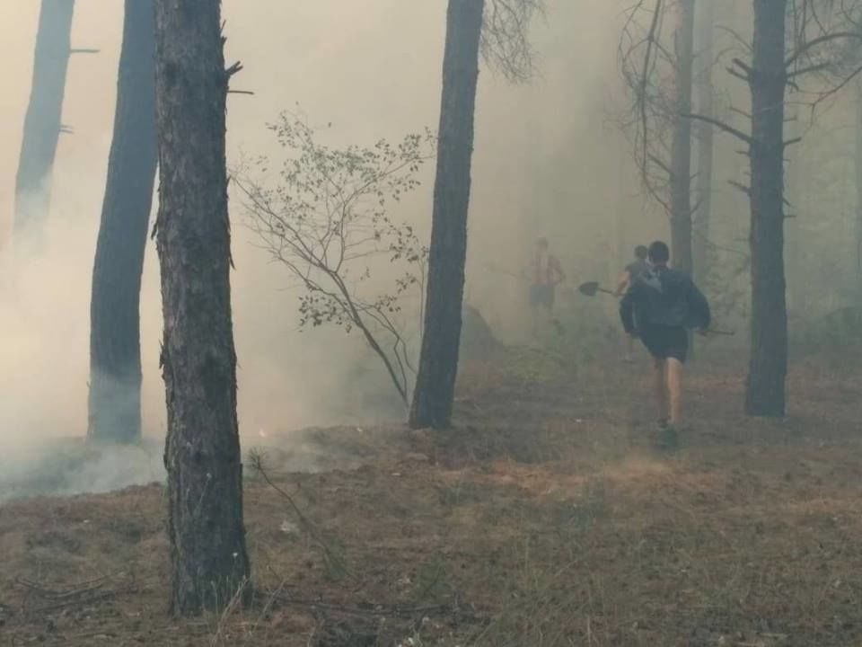Площадь возгорания достигла 3 гектаров: В Украине вспыхнул лес, тушение продолжается несколько часов