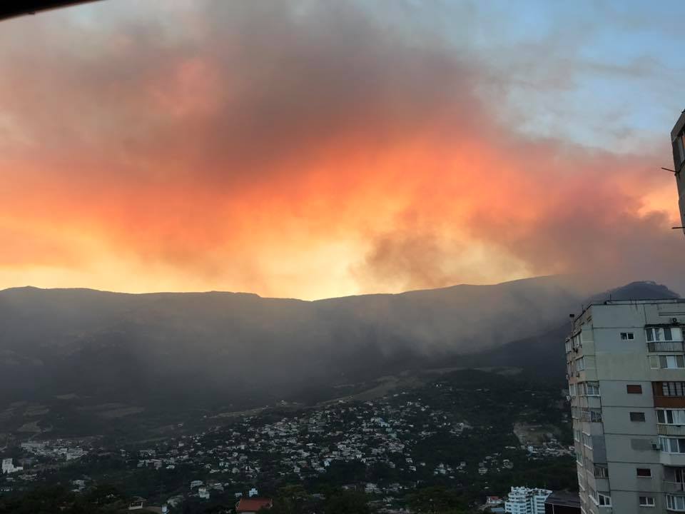 «Последний круг ада»: В Крымском лесу вспыхнул масштабный пожар