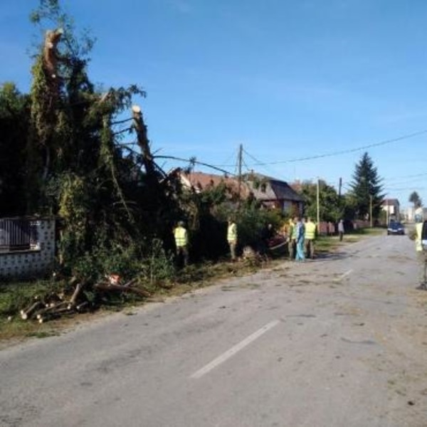 Разрушал дома и вырывал деревья: село возле Ужгорода разрушило торнадо