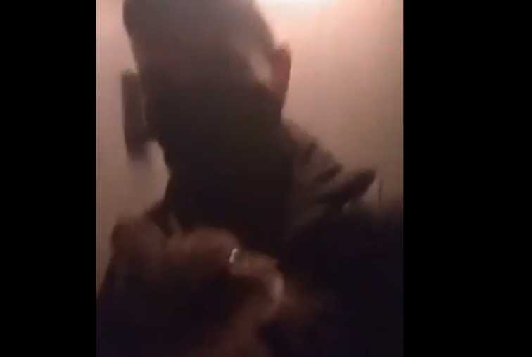 «Потенциальные преступники»: Во Львове двое неадекватных подростков выбросили кота с 9 этажа, снимая это на видео