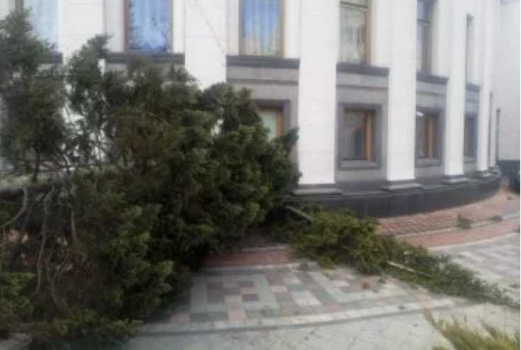 «Могла бы обезвредить кого-то»: Ужасный ураган в столице повалил огромную ель на здание ВР
