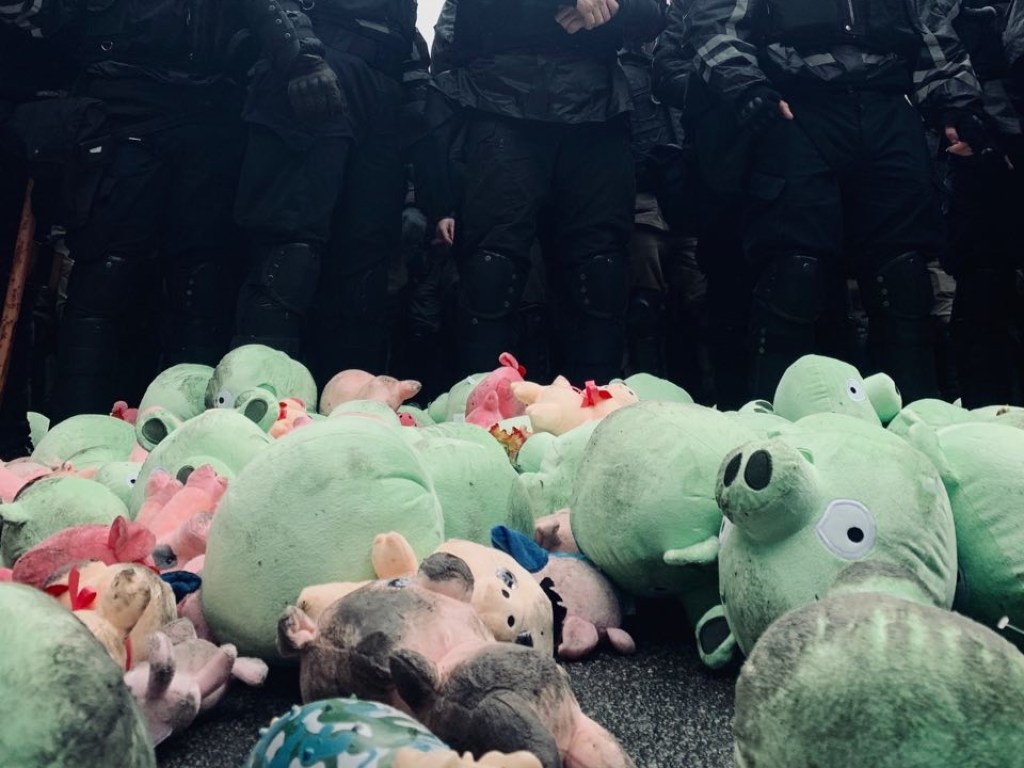 «Под крики» Позор «забросали свиньями»: В Сети обсуждают встречу Порошенко с активистами в Полтаве. Что будет дальше?