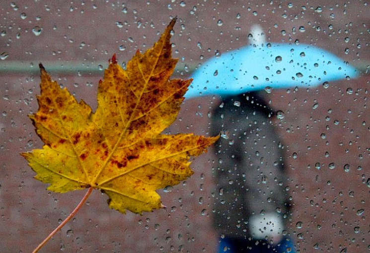 Готовьте зонтики : прогноз погоды в Украине на 29 ноября
