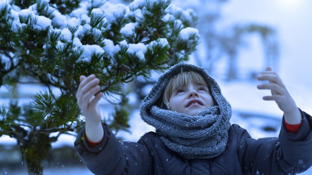 Никакого снега — не будет! Украинцы не дождутся зимы в начале декабря. Что будет с погодой?