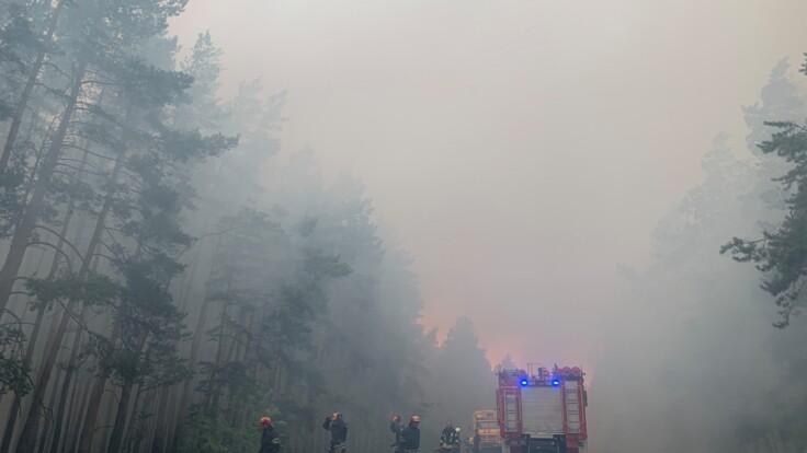 После масштабных пожаров. Власти Луганщины заявили о новой проблеме: работает несколько отрядов спасателей